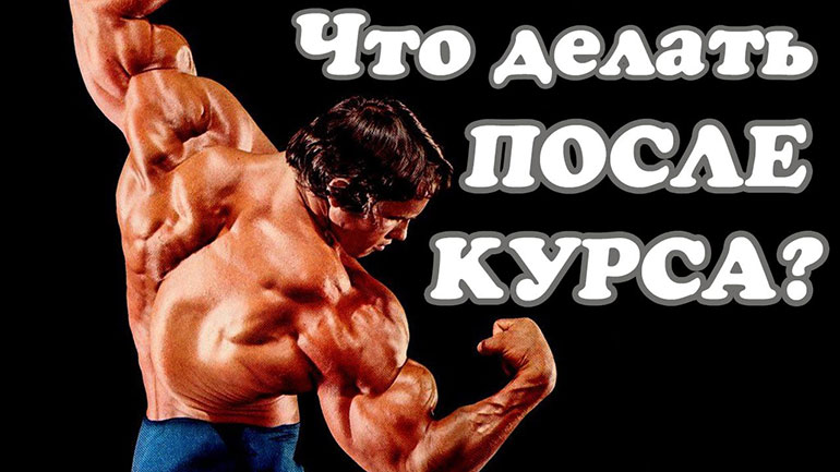 Successful Stories You Didn’t Know About доширак и бодибилдинг